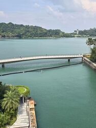 The Reef At King’s Dock (D4), Condominium #563601661